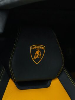 
										Lamborghini Urus full									